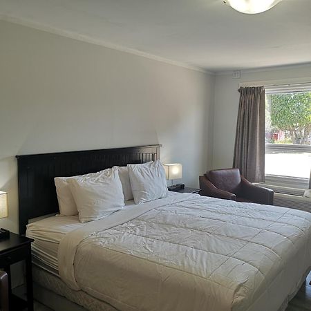 كرانبروك Almo Court Motel المظهر الخارجي الصورة